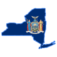 New York outline and flag icon
